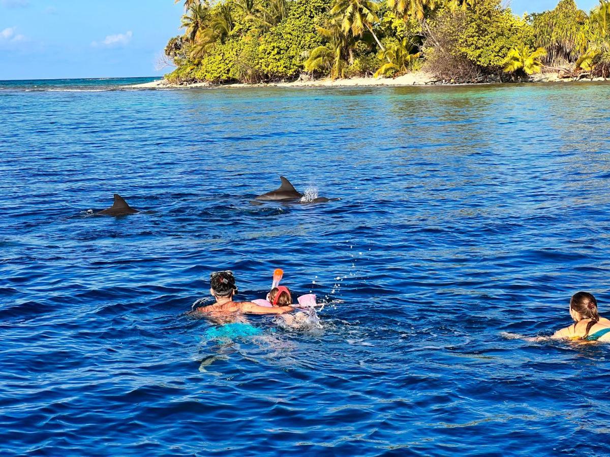 Manta Stay Thoddoo, Maldives Экстерьер фото